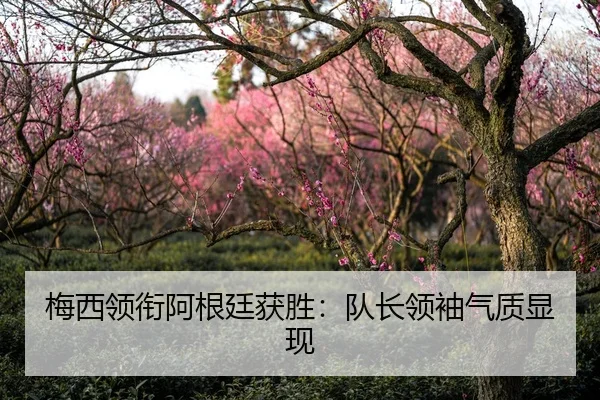 梅西领衔阿根廷获胜：队长领袖气质显现 - jinnianhui